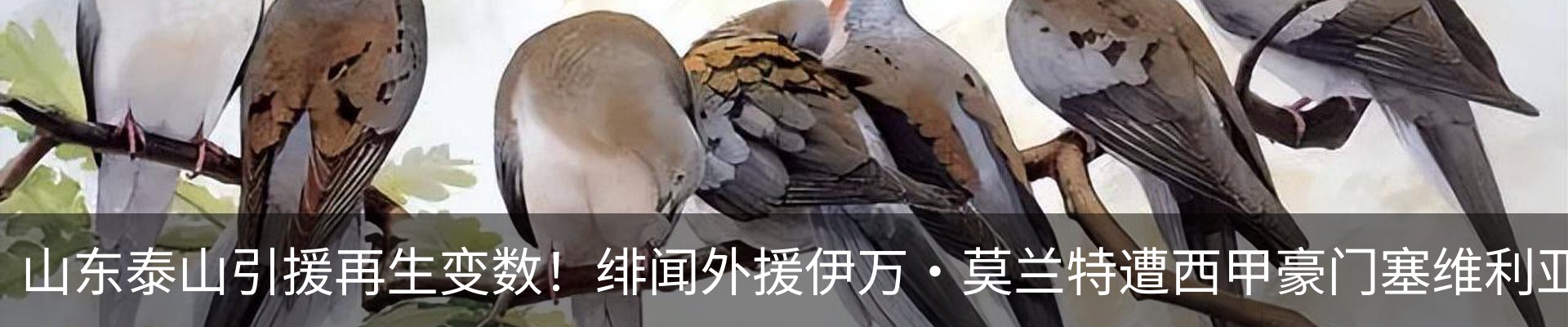 资讯动态
